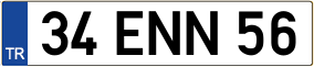 Truck License Plate